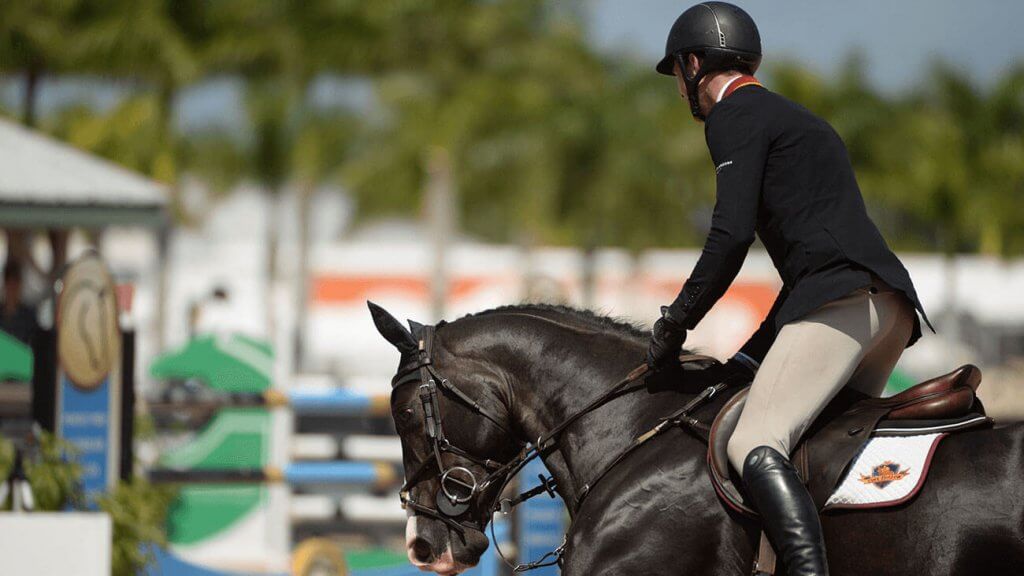 Man riding horse