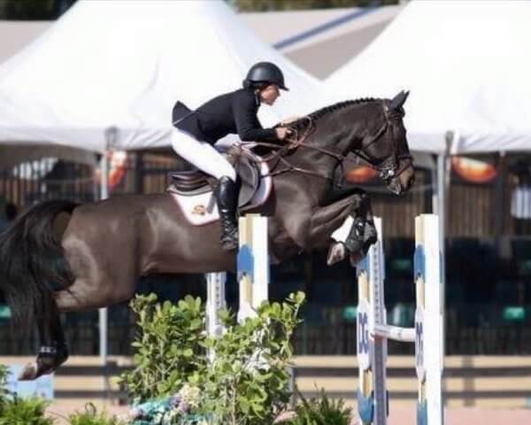 Horse jumping over an obstacle