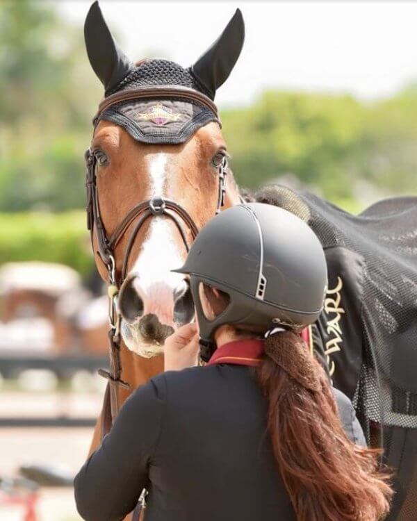 Close up photo of horse's face