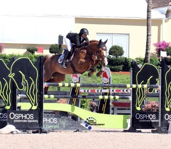 Horse jumping over an obstacle