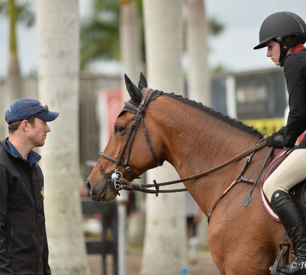 David Blake training horse rider