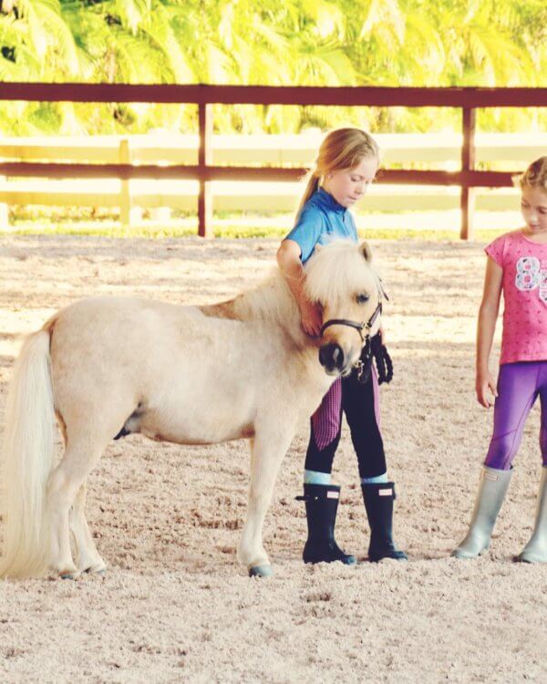 Two girls walking a pony