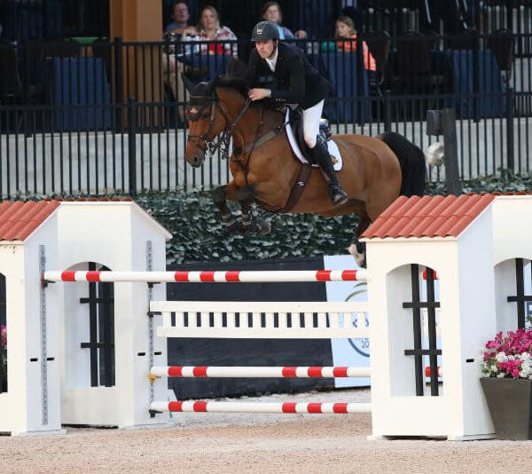 Horse jumping with David Blake