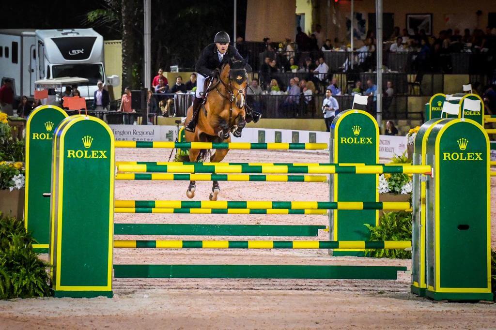 Horse jumping through obstacles