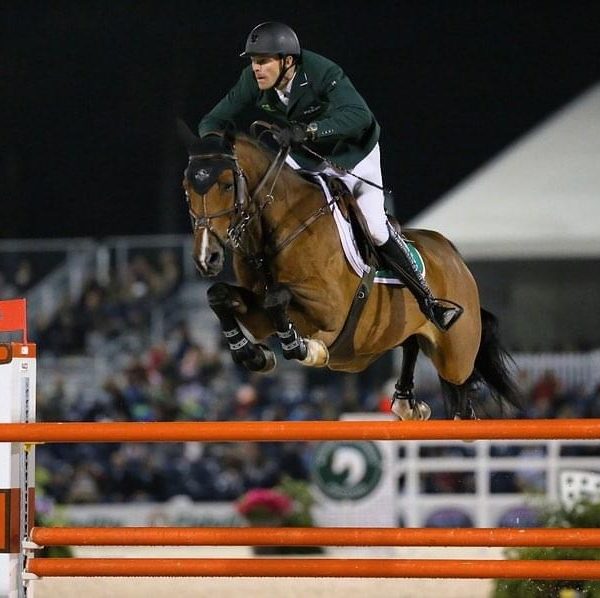 Horse jumping with David Blake