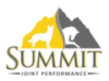 Summit Joint Performance logo